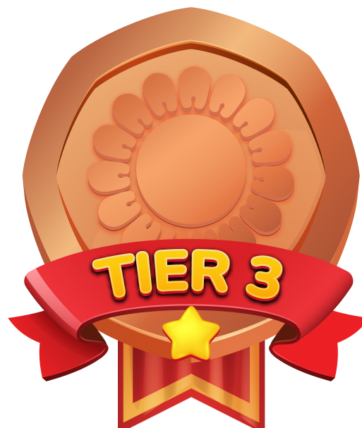 Bronze Tier